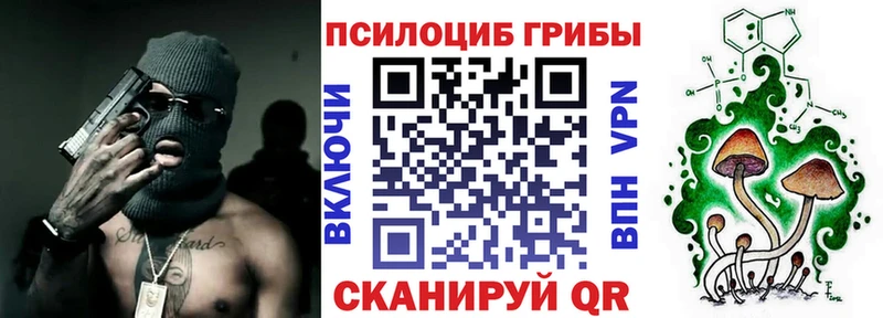 hydra сайт  Ясногорск  Галлюциногенные грибы MAGIC MUSHROOMS 